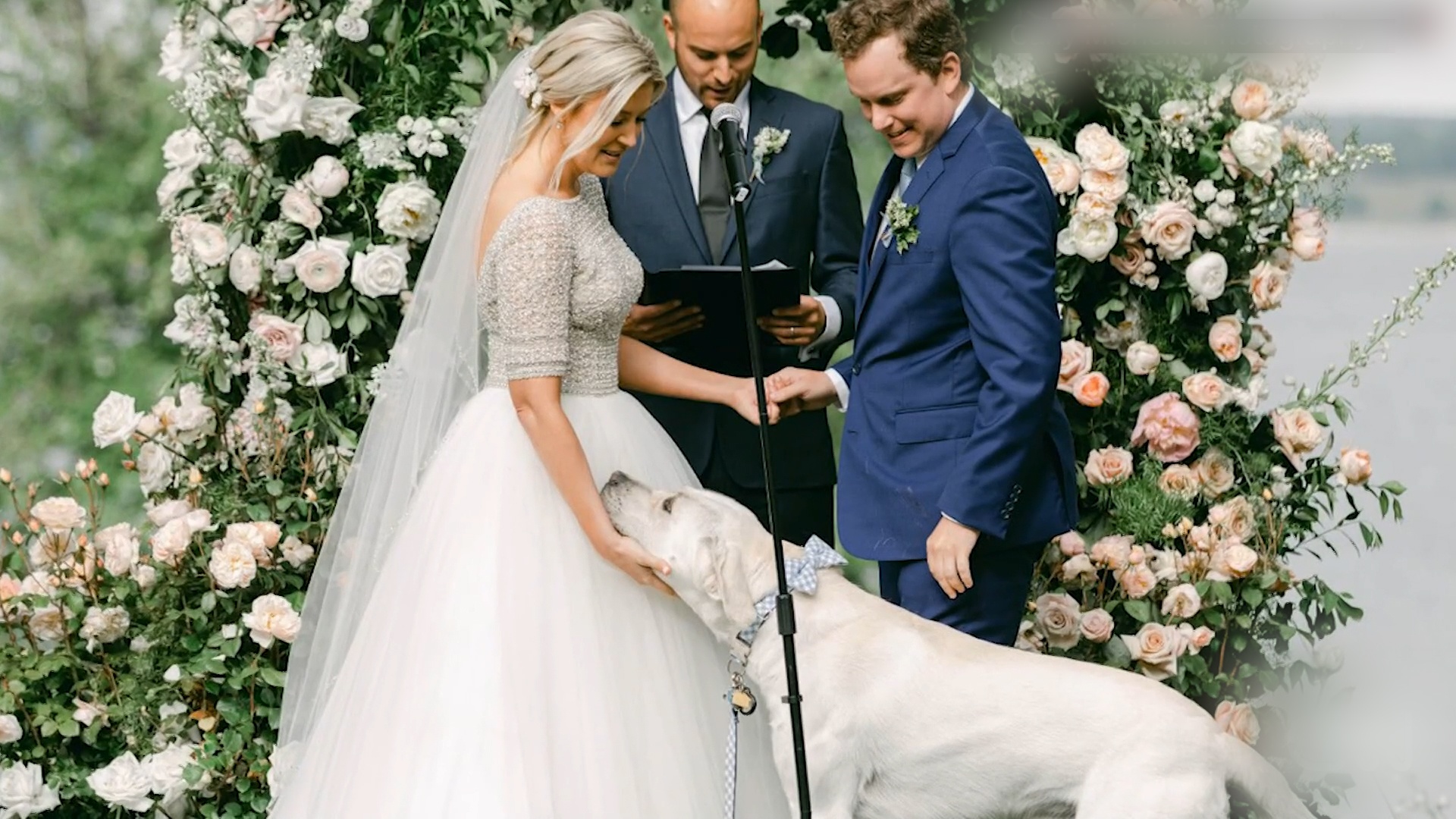 No ro xu huong de thu cung tham du le cuoi hinh anh