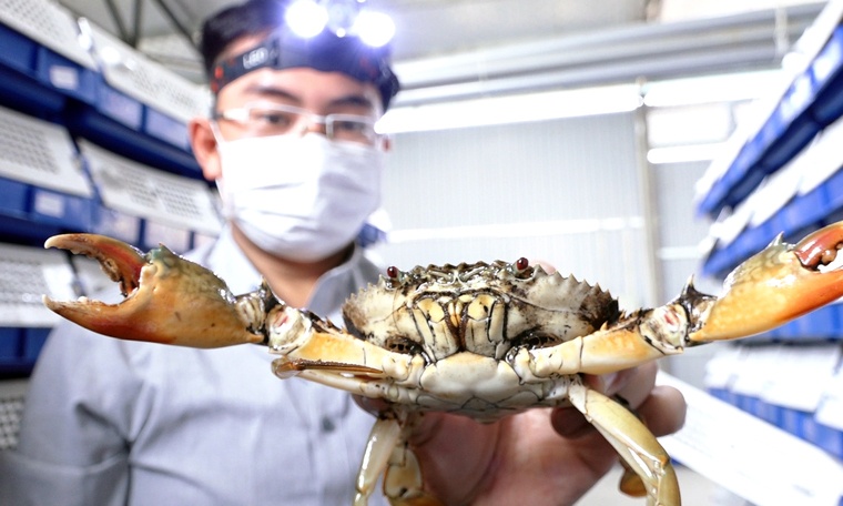 Thu tien ty moi nam nho nuoi cua bien trong nha pho hinh anh