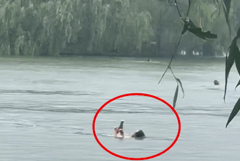 Cu ong choi dien thoai khi boi lui trong ho nuoc hinh anh