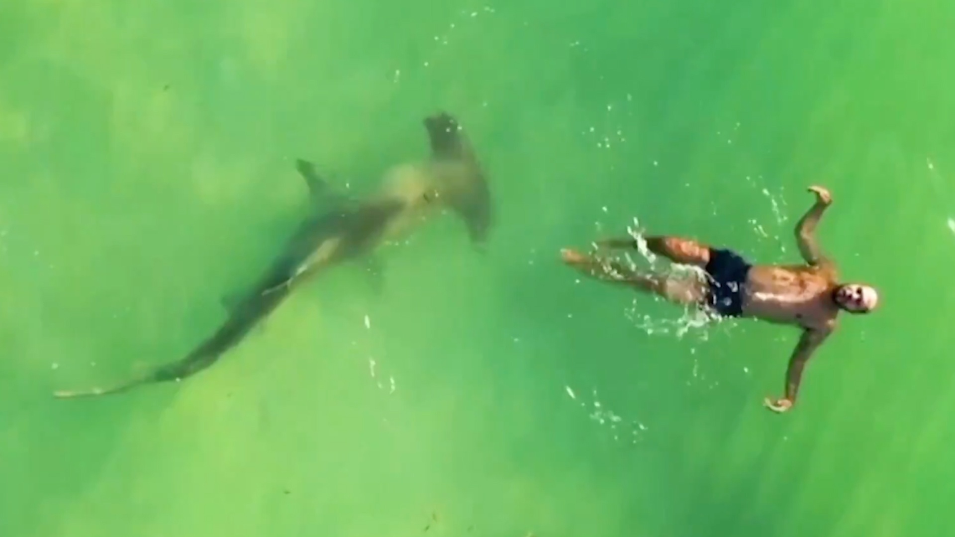 Ca map dau bua 'thich' boi sat du khach hinh anh