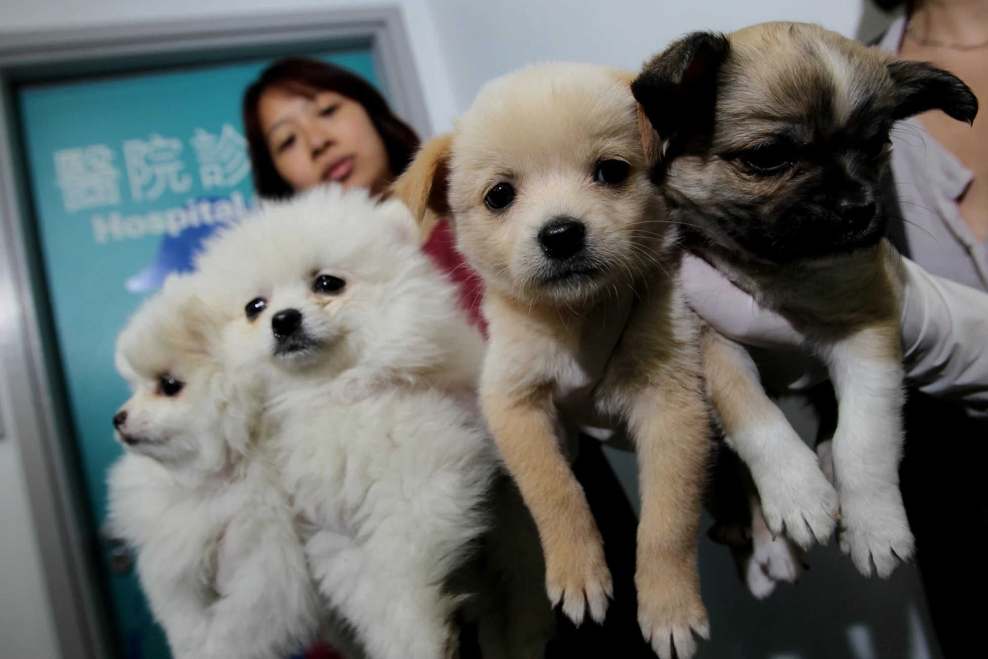 Chi hang chuc nghin USD thue may bay rieng cho thu cung hinh anh