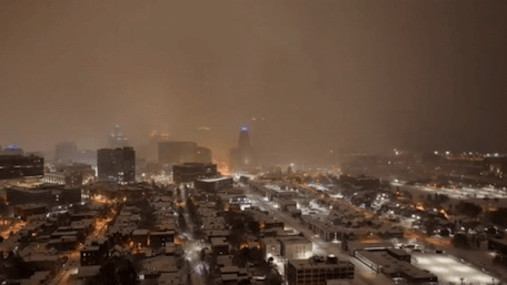 New York chim trong bao tuyet hinh anh