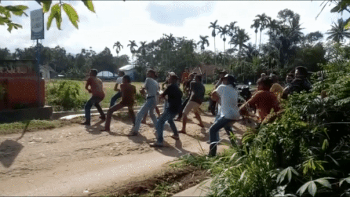 Dua vit bay o Indonesia hinh anh