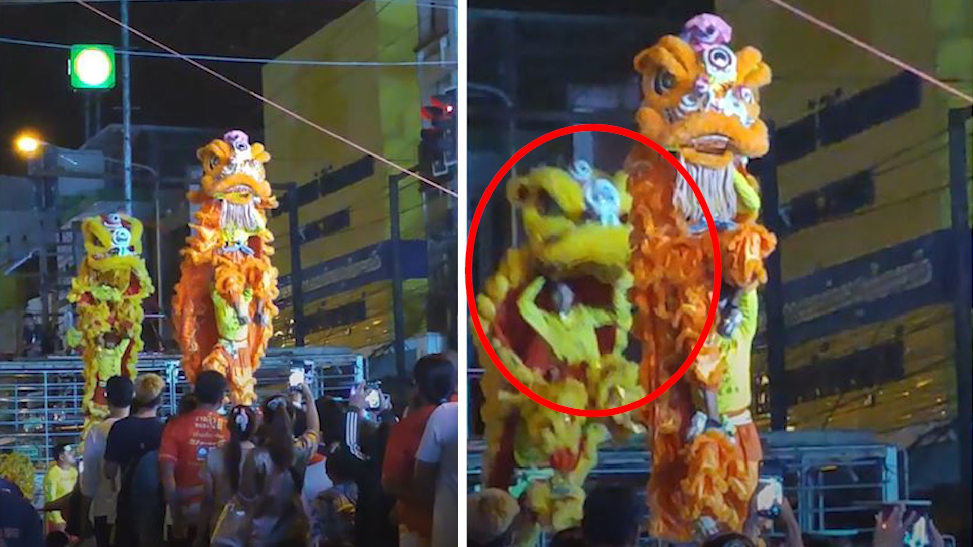 Doi mua lan truot chan nga tren cay cot cao 1,5 m hinh anh