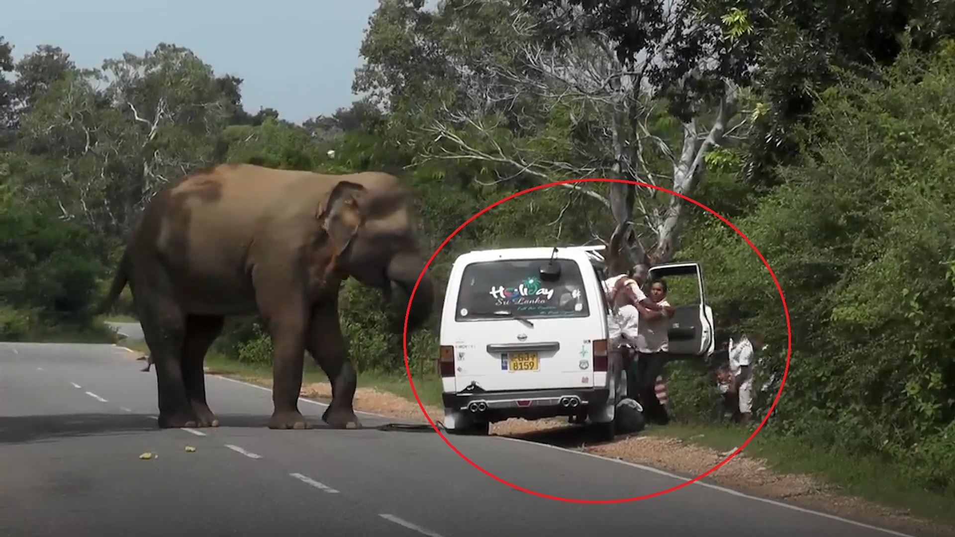 Voi chan dau xe cua du khach xin an hinh anh