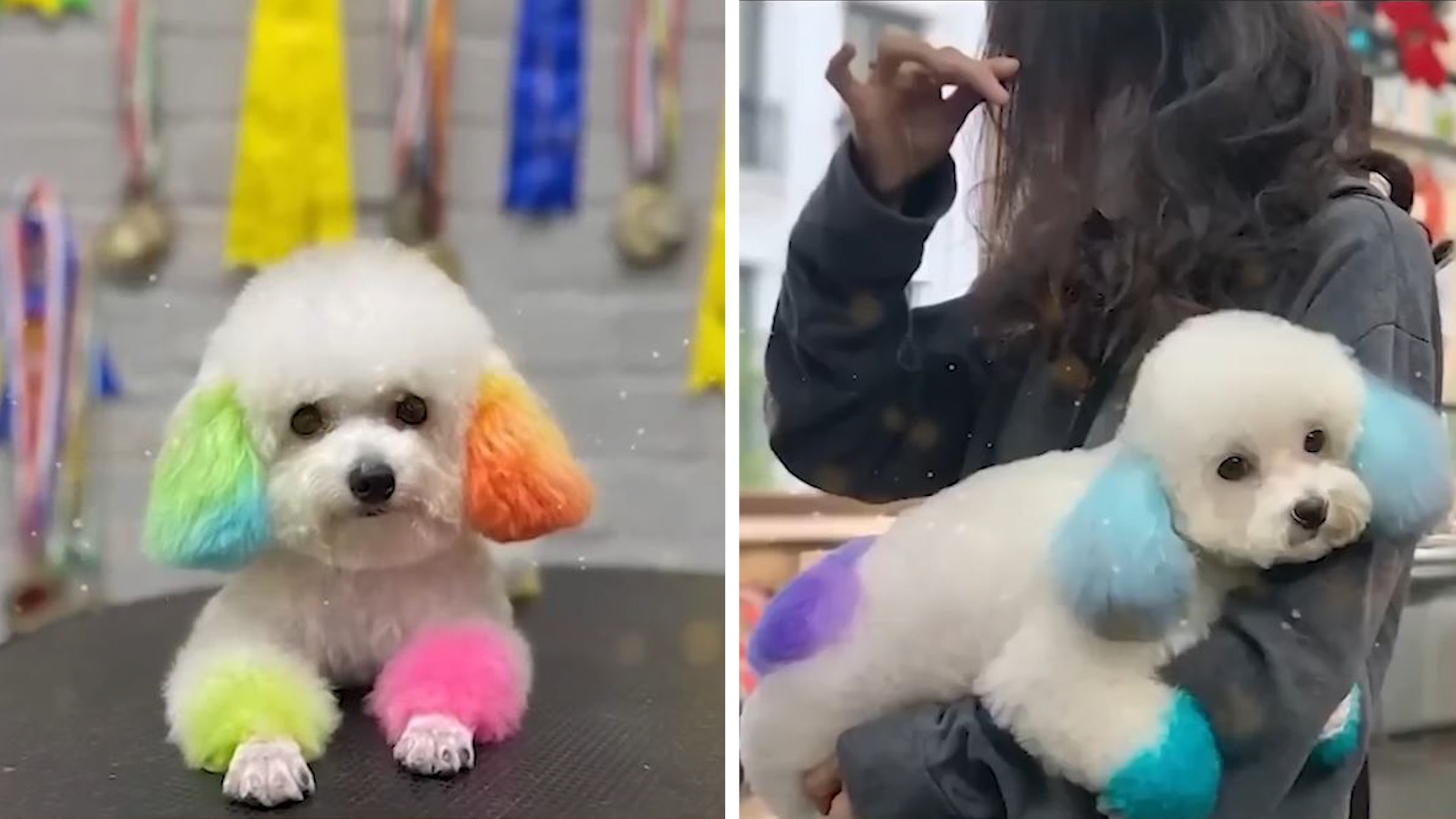 Dich vu lam dep thu cung dat hang dip Tet hinh anh