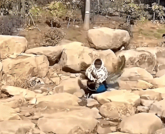 Dua be vat long con cong o so thu Trung Quoc hinh anh