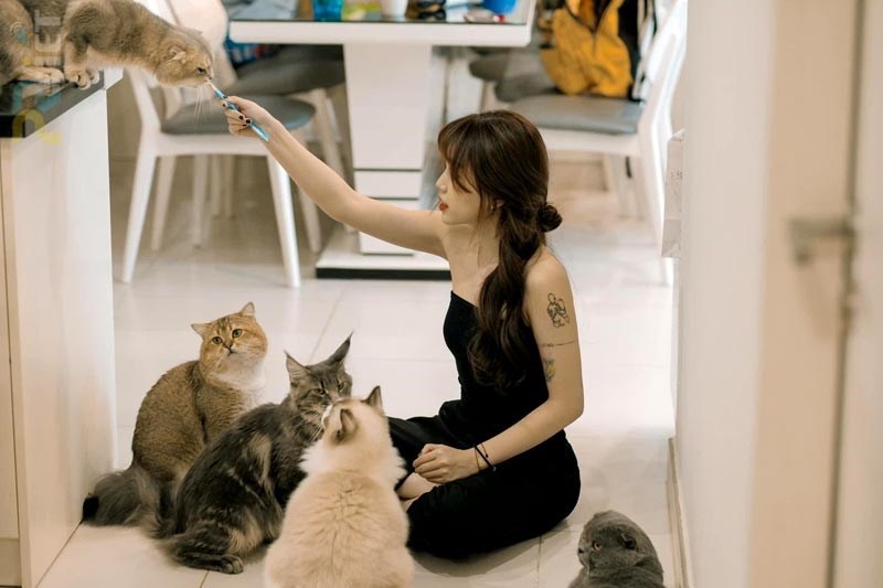 Nguoi tre khoi nghiep voi meo hinh anh