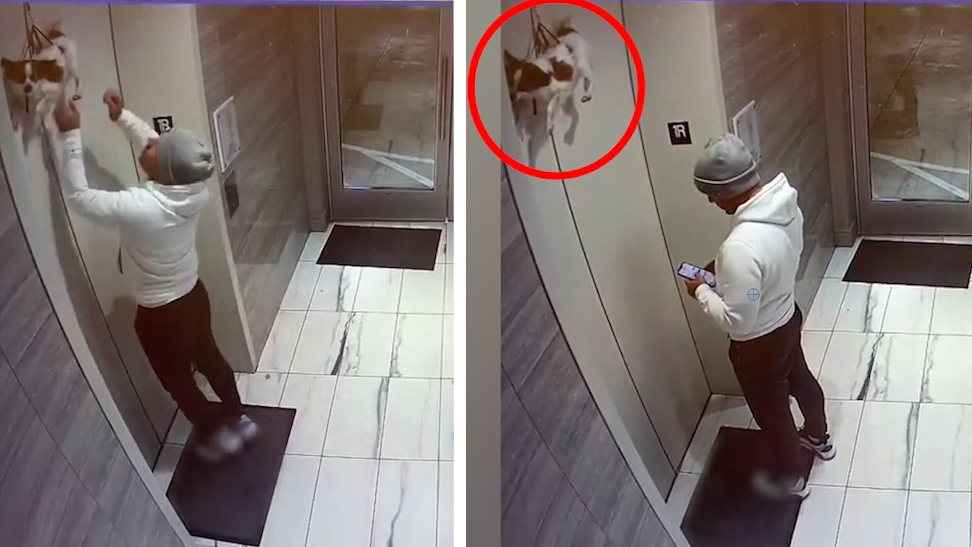 Cuu chu cho bi day xich vuong vao cua thang may hinh anh