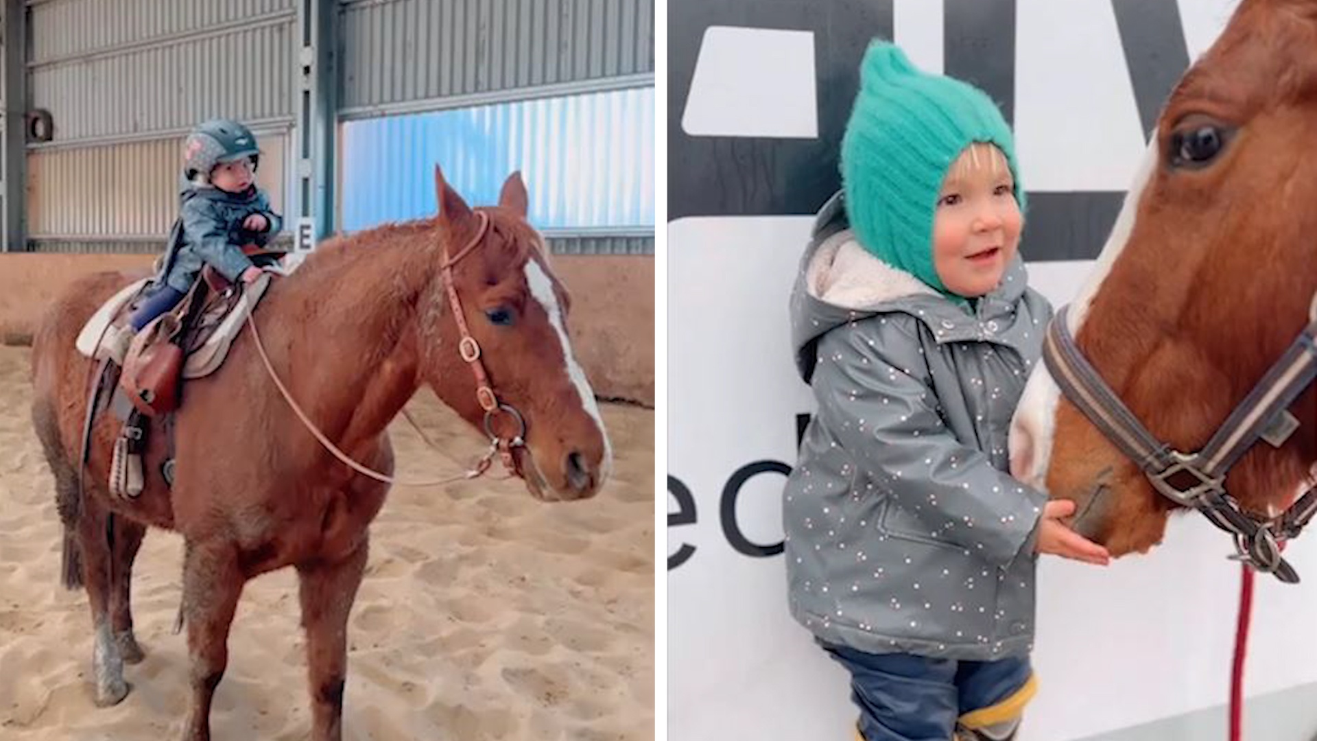 Be 1 tuoi biet cuoi ngua nhu nguoi lon hinh anh