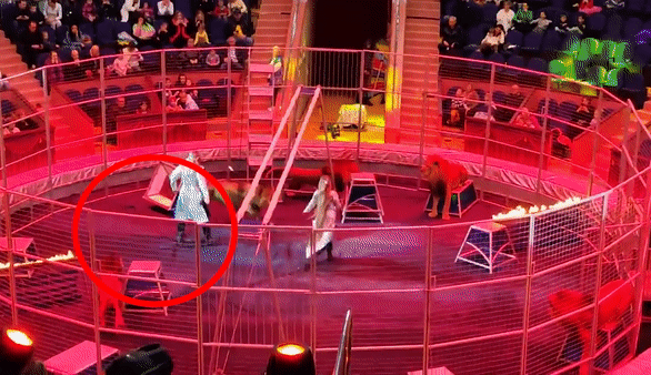 Su tu tan cong dien vien xiec hinh anh