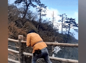 Nguoi dan ong dam con khi gay phan no hinh anh