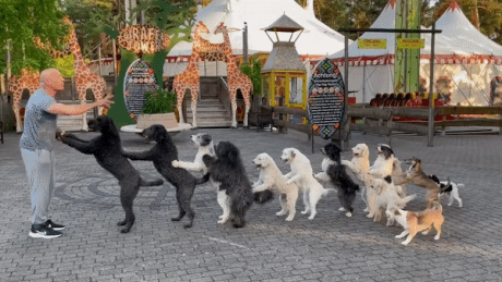 14 chu cho biet xep hang lap ky luc the gioi hinh anh