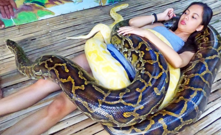 Dung tran massage cho nguoi hinh anh