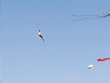 Nguoi dan ong 'bay' len troi khi dang tha dieu hinh anh