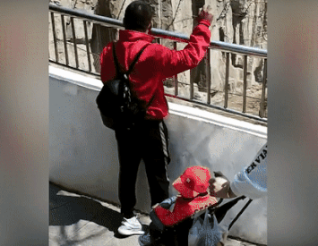 Nguoi dan ong Trung Quoc nem da vao su tu gay phan no hinh anh