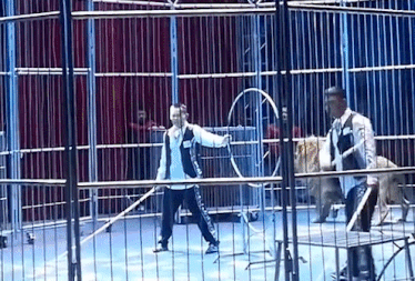 Su tu xong chuong o rap xiec, khan gia hoang loan bo chay hinh anh