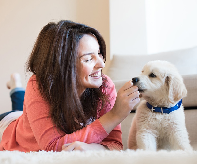 Canh bao nhiem benh tu cho meo ma khong biet hinh anh