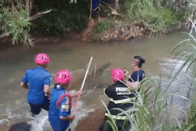 Nhay len tom dau ca sau, linh cuu hoa suyt bi can hinh anh