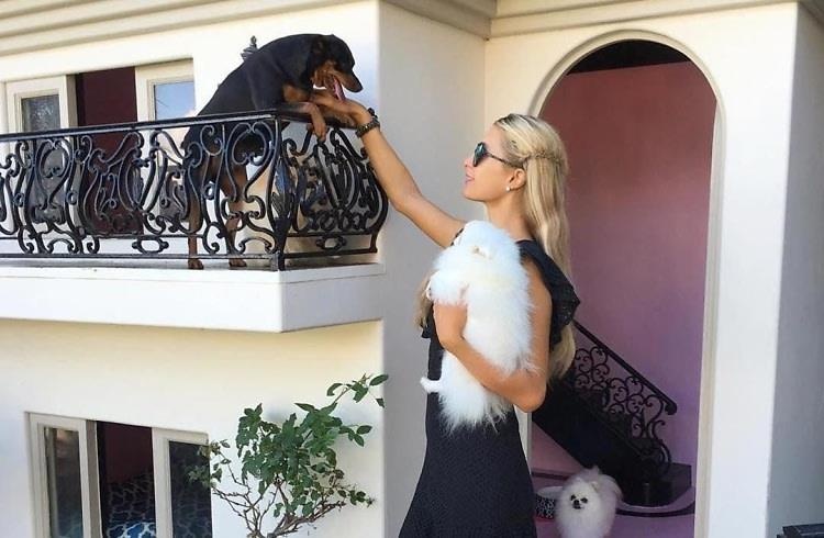 Paris Hilton biet thu xa hoa danh cho cho anh 1