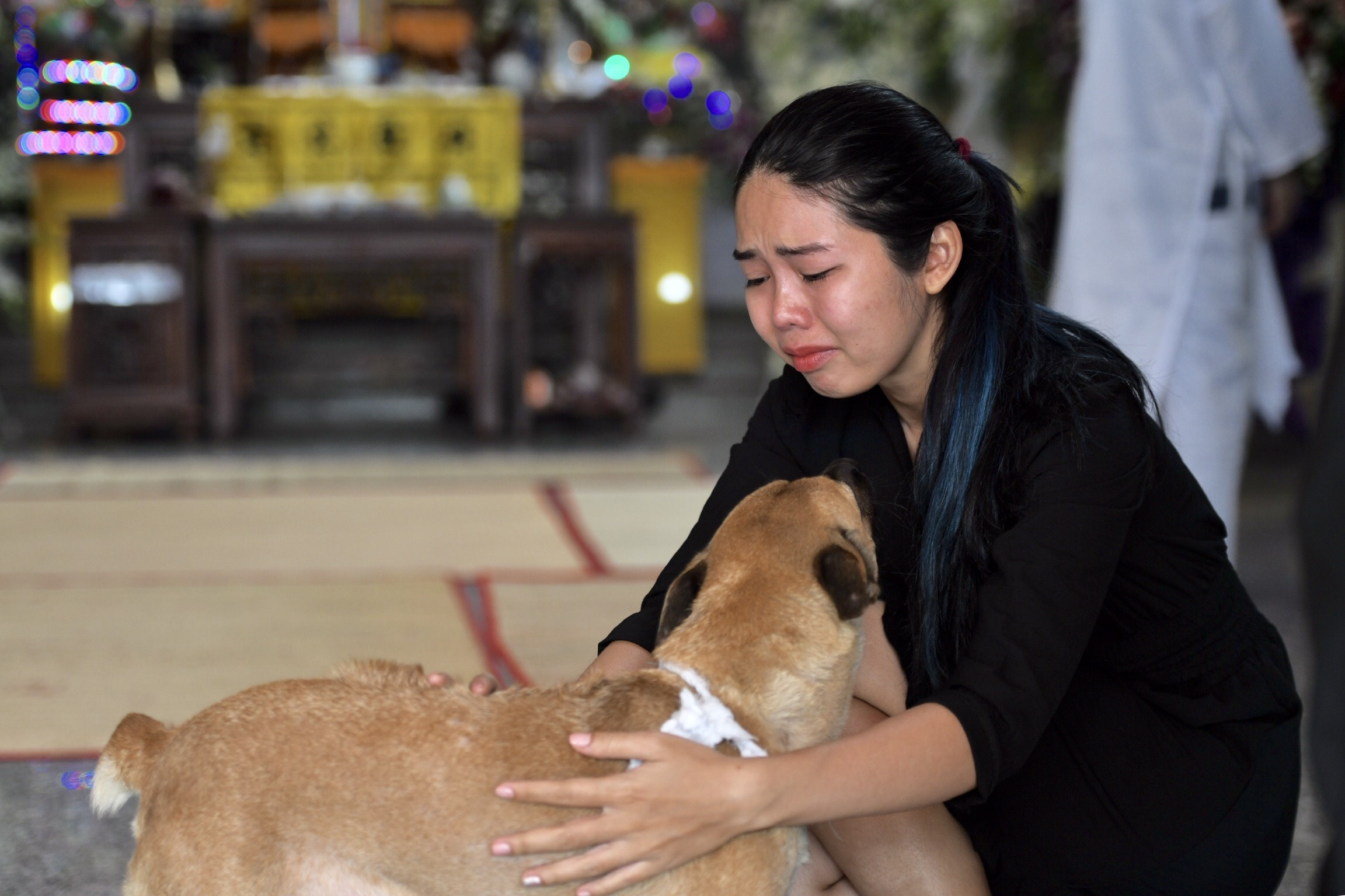 dam tang nghe si Xuan Hieu anh 3