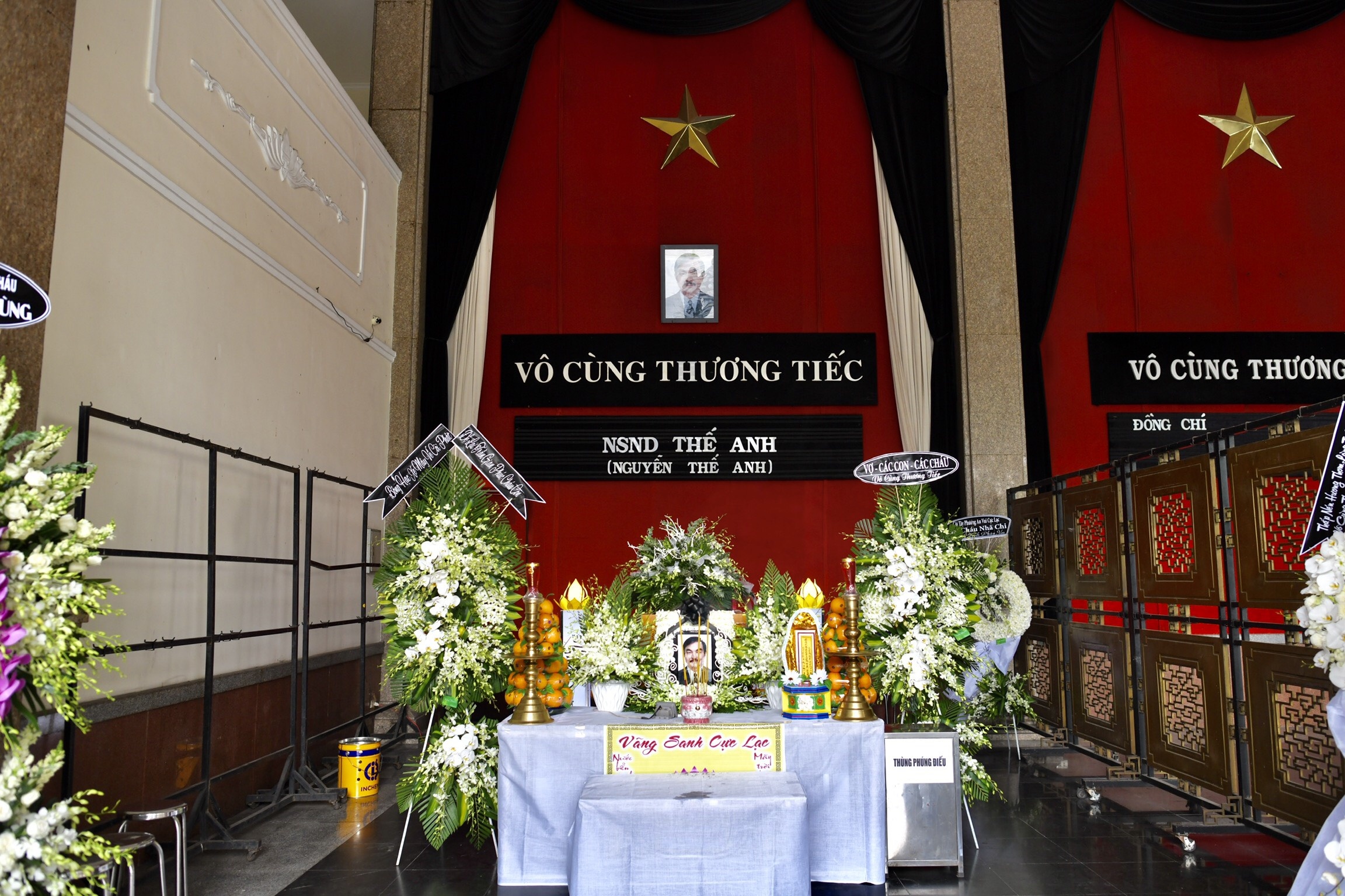 dam tang nghe si the anh anh 1