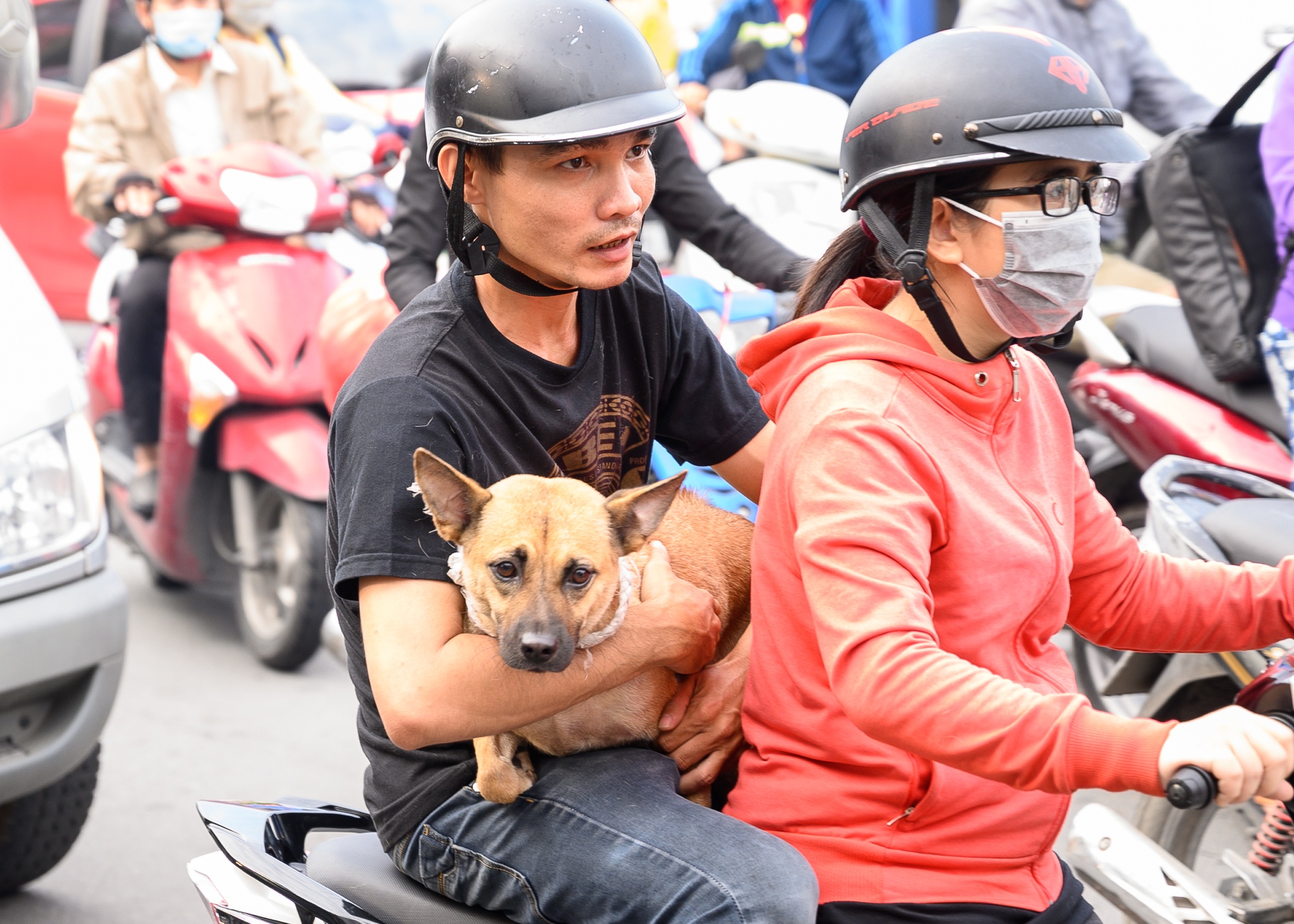 dam tang nghe si xuan hieu anh 9