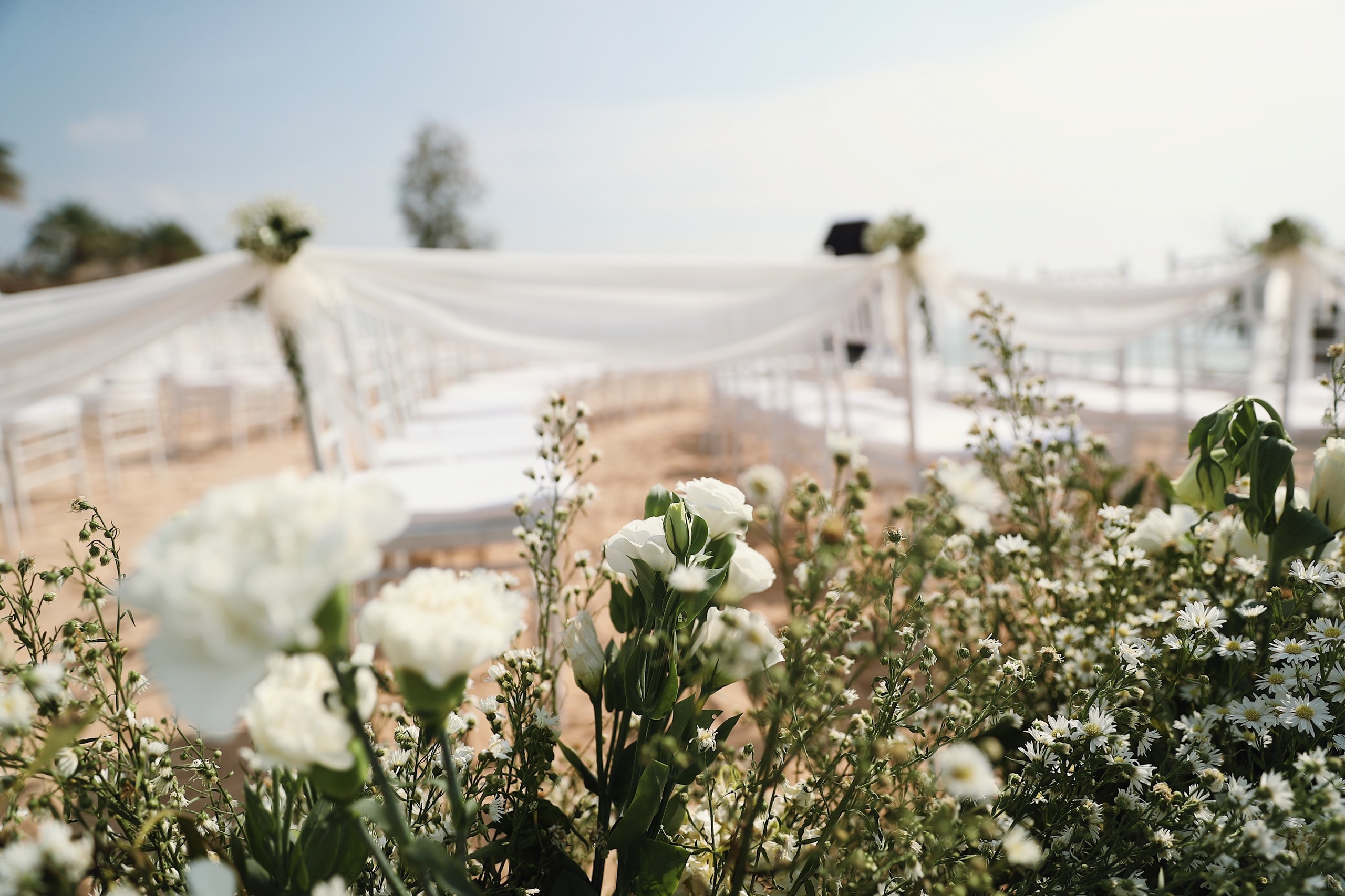 dam cuoi co tich cua dong nhi anh 1