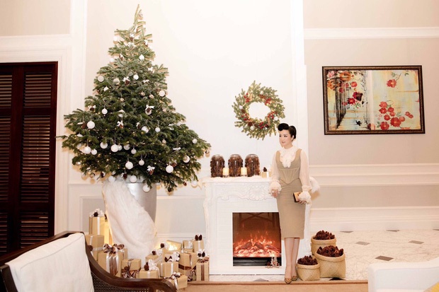 nghe si trang hoang giang sinh anh 12