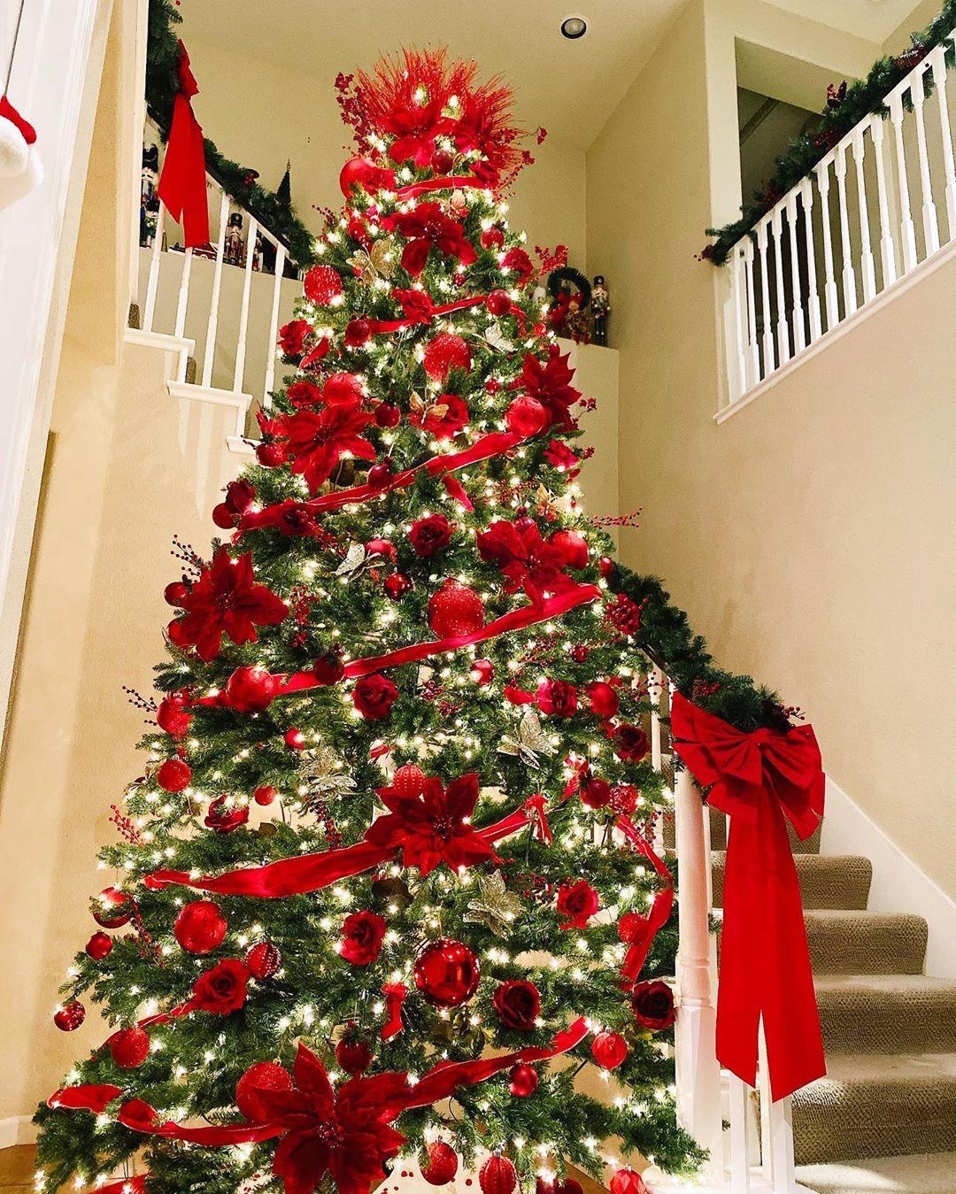 nghe si trang hoang giang sinh anh 5