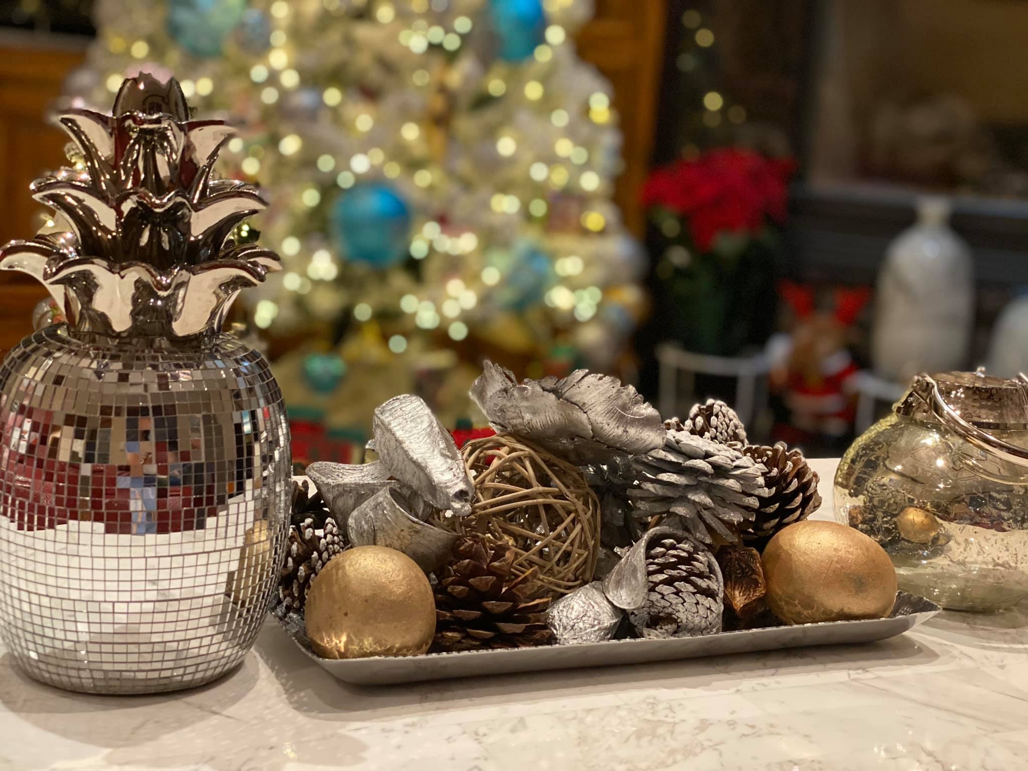 biet thu cua hong ngoc anh 6