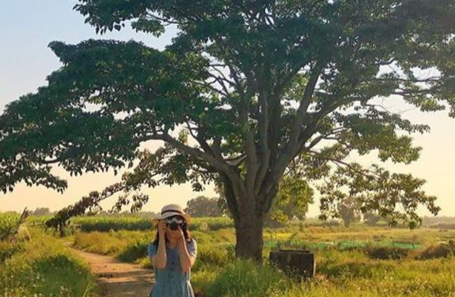 Du khach do xo den Hue sau khi xem 'Mat biec' hinh anh