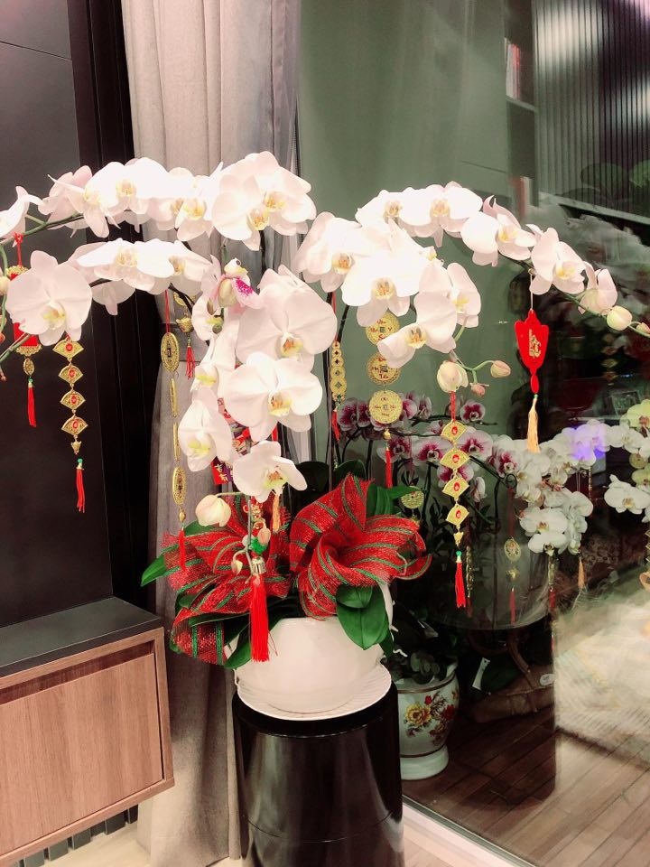 tang thanh ha trang tri nha cua anh 10