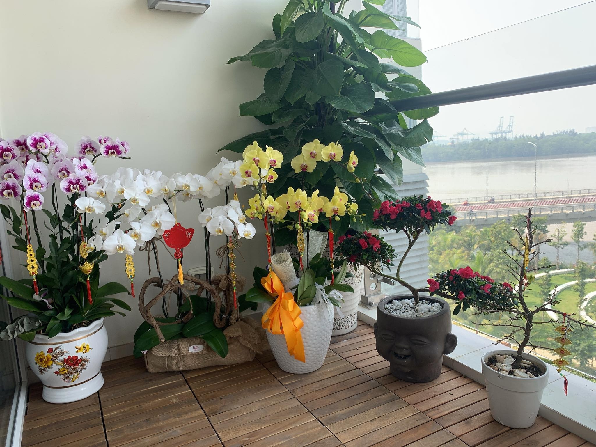 tang thanh ha trang tri nha cua anh 9