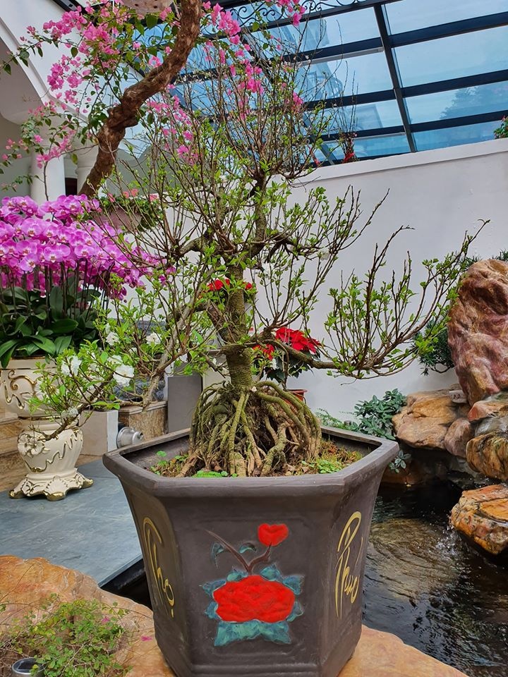 tang thanh ha trang tri nha cua anh 4