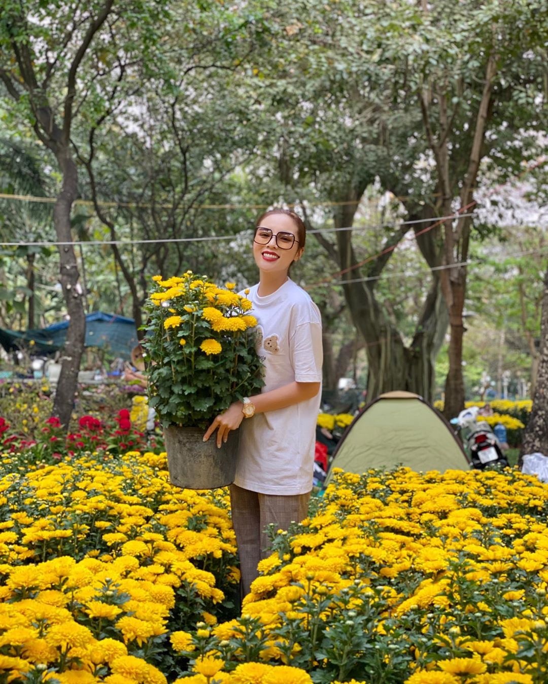 sao viet don tet anh 5