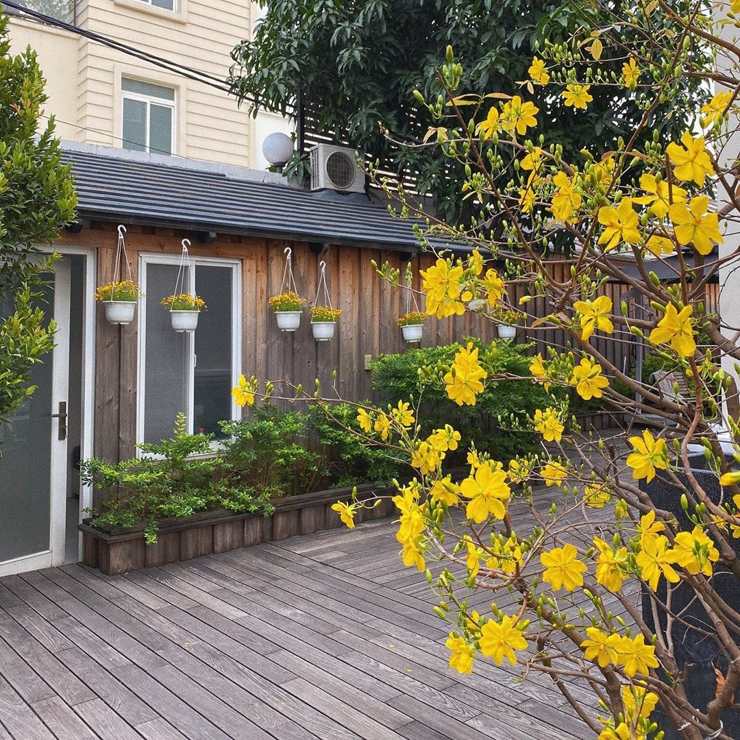 nghe si don tet anh 8