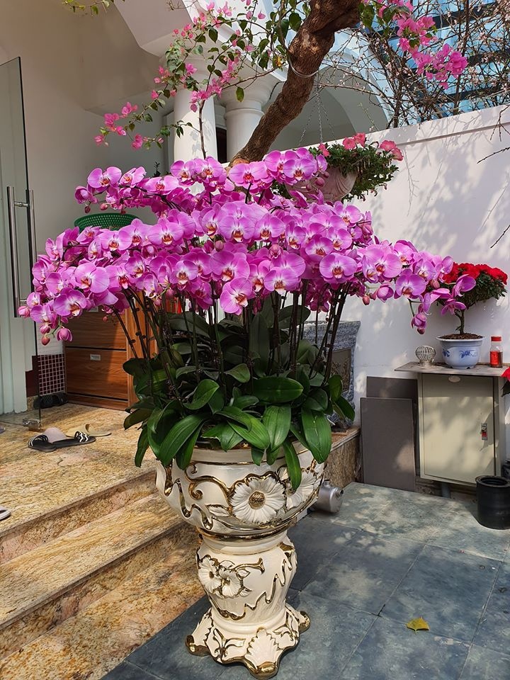 biet thu cua tuan hung anh 7