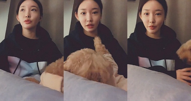 chung ha bi cach ly anh 1