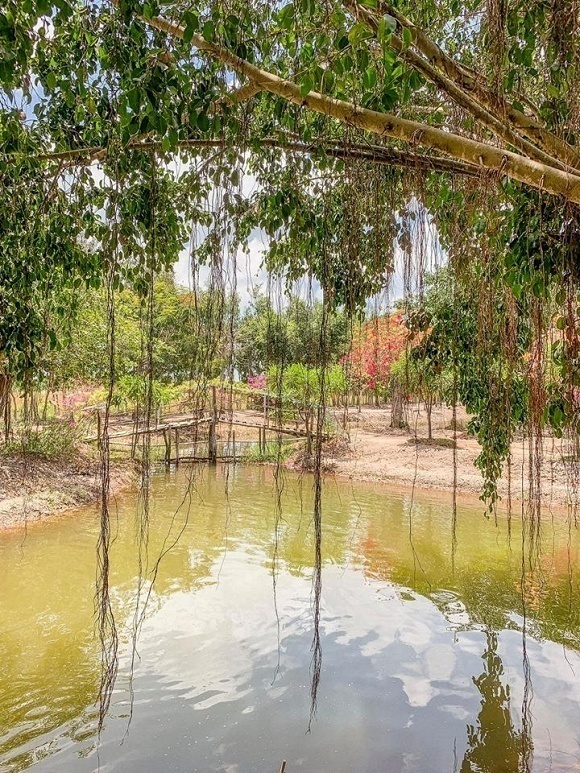 biet thu cua ca si minh hang anh 8