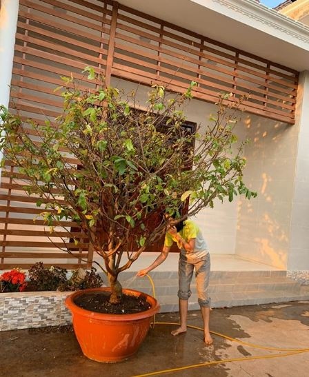 nha cua H'Hen Nie anh 2