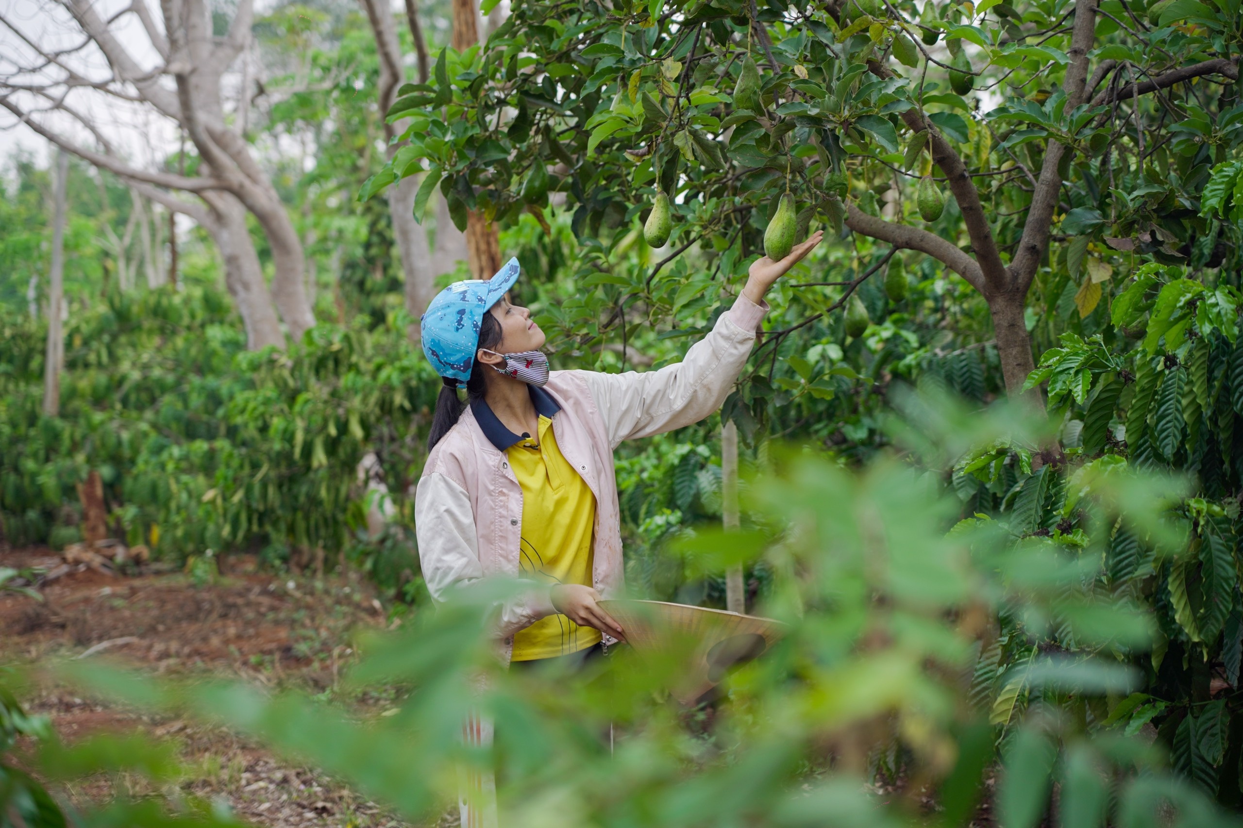 H'Hen Nie o que anh 2