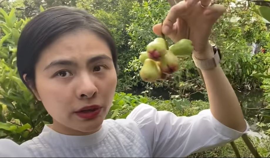 Vuon trai cay o Tien Giang cua Van Trang hinh anh