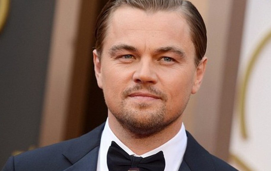 Truoc vinh Lan Ha, Leonardo DiCaprio tung vi moi truong nhu the nao? hinh anh