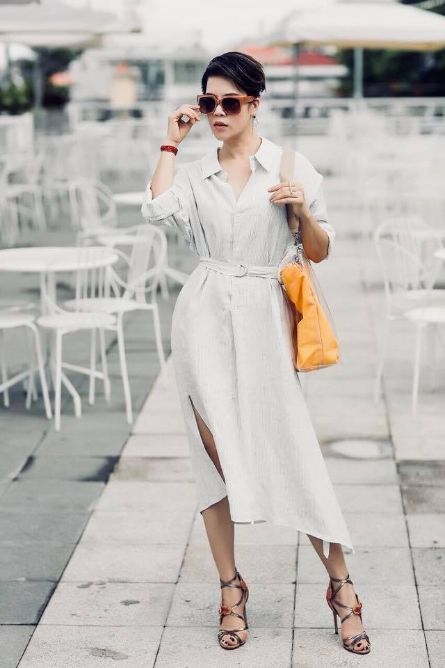 ca si dan truong anh 11