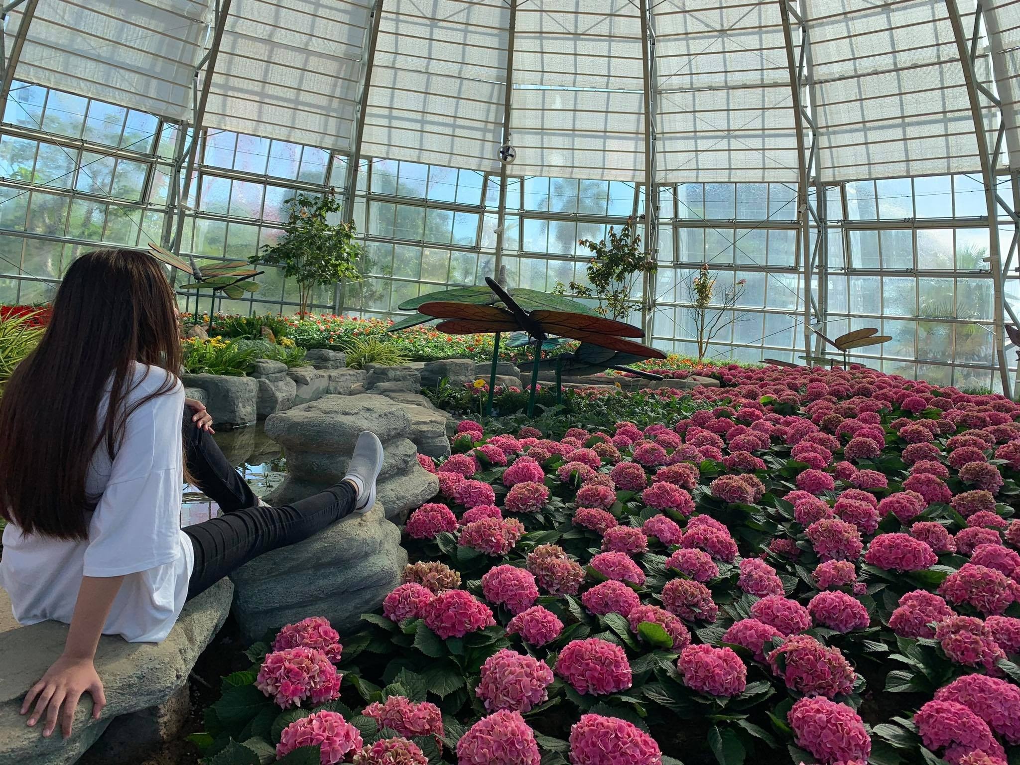 con gai ca si ngoc anh anh 5