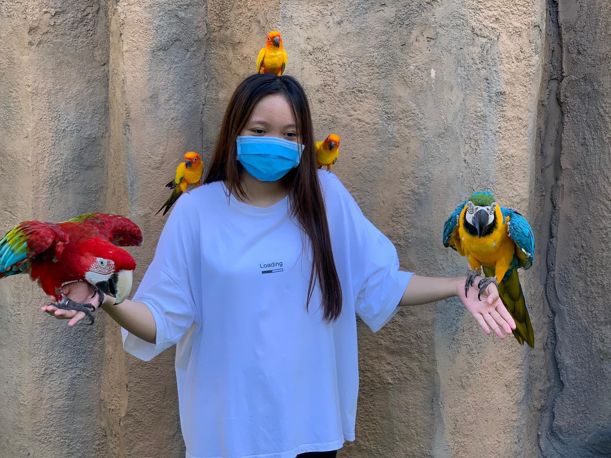 con gai ca si ngoc anh anh 4