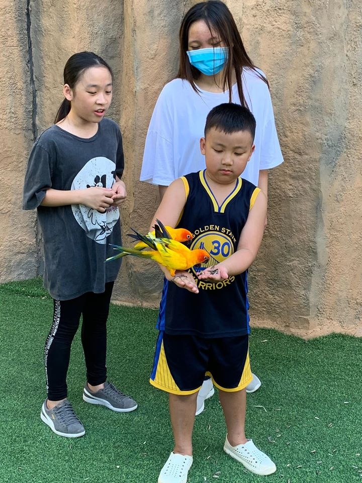 con gai ca si ngoc anh anh 3