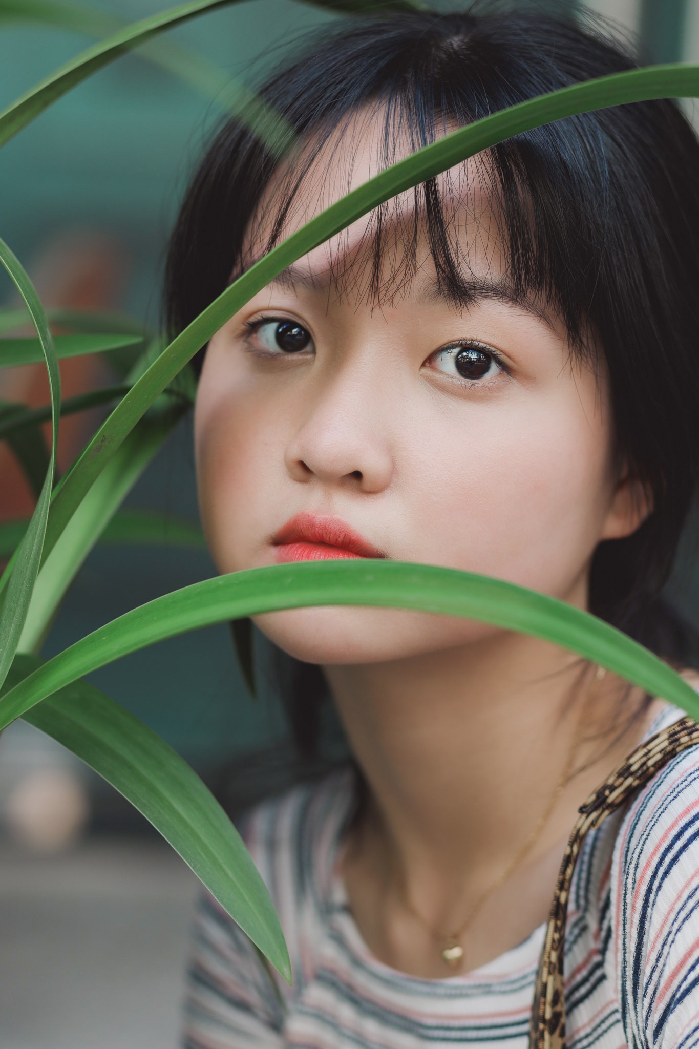 diễn viên lâm thanh mỹ tuổi 15 ảnh 5 dien vien lam thanh my tuoi 15 anh 5