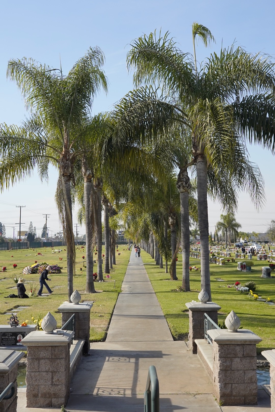 thi thể nghệ sĩ chí tài đưa đến nhà quàn ảnh 3 thi the nghe si chi tai dua den nha quan anh 3